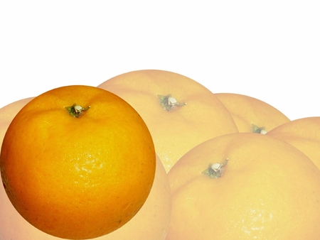 orange and background on whiteの写真素材