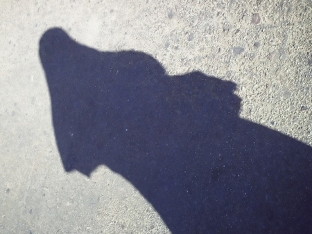 arabian woman street shadowの写真素材