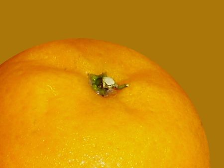 juicy oranges closeup on orange leftの写真素材