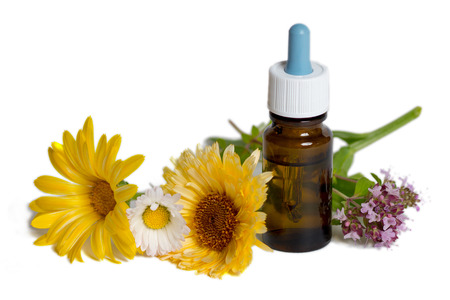 bottle with calendula, chamomile and mint flowers on white backgroundの写真素材