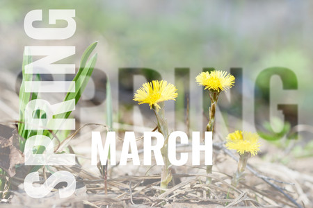 postcard with spring background and month nameの写真素材