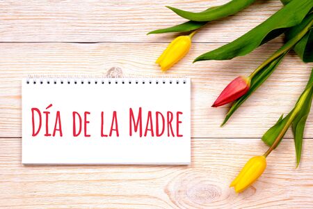 muttertag - spanish mother's day, greetings on rustic planks with tulipsの写真素材