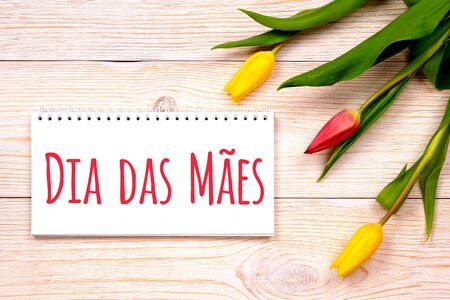 dia das maes - portugal mother's day, greetings on rustic planks with tulipsの写真素材