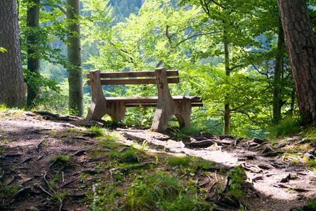 old bench on hillside in public parkの写真素材