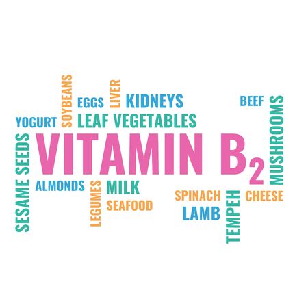vitamin b2 foods cloud, illustration on white backgroundの写真素材