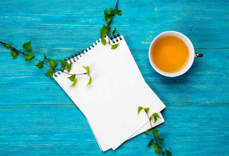 empty text space with birch branches over turquoise tableの写真素材