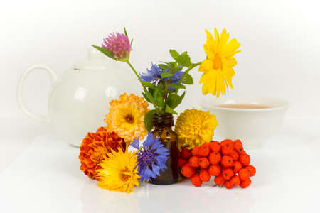 alternative medicine concept - herbal tea with teapot and ingredientsの写真素材