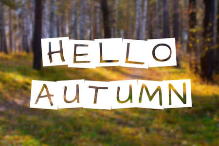 hello autumn, text over blurred wild fall forestの写真素材