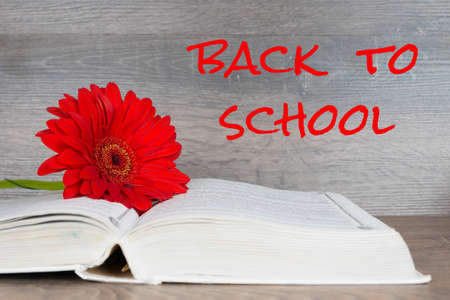 back to school - text over black boardの写真素材