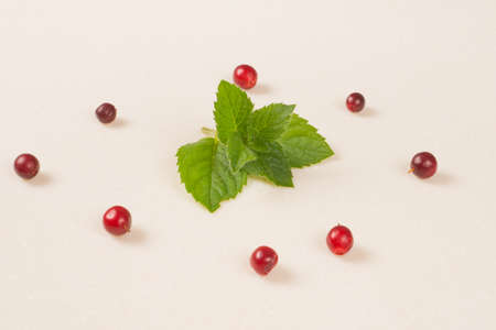 cranberries and mint branch, flat lay on white stone tableの写真素材