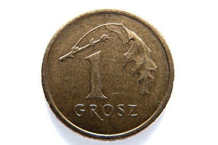 image of polish coinの写真素材
