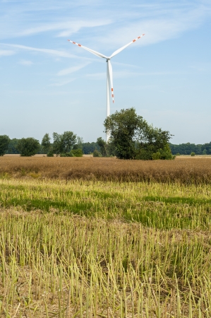 Windturbines in the summer time. の写真素材