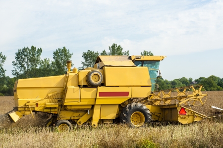 An image of combine harvesting rapeの写真素材