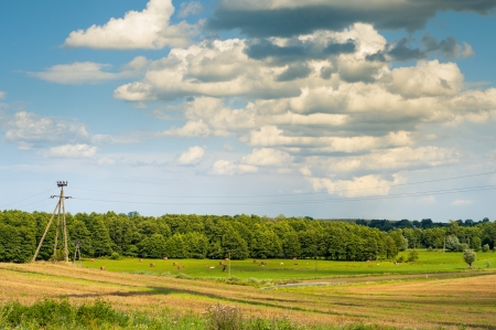 An image of landscape in the middle of summerの写真素材