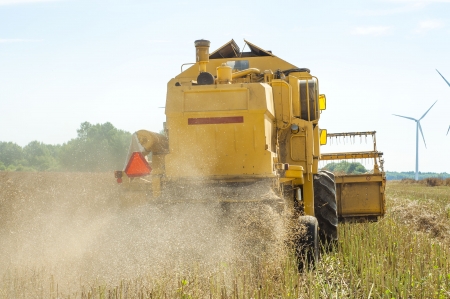 An image of combine harvesting rapeの写真素材