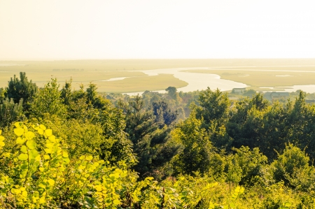 An image of landscape  Polish forestの写真素材
