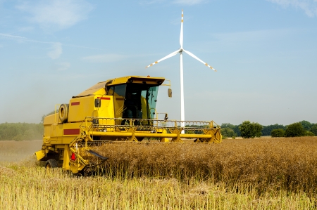 An image of combine harvesting rapeの写真素材