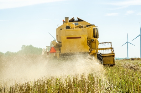 An image of combine harvesting rapeの写真素材