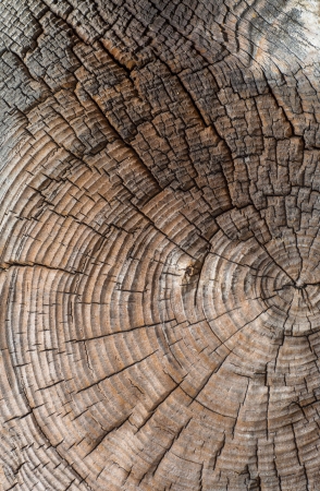 An image of wooden background