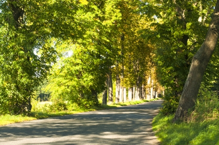 An image of highway road の写真素材