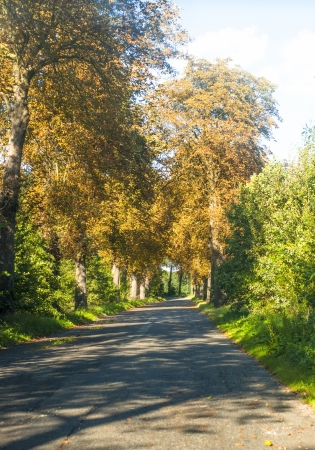 An image of highway road の写真素材