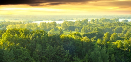 An image of landscape  Polish forestの写真素材