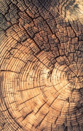 An image of wooden backgroundの写真素材