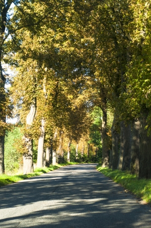 An image of highway road の写真素材
