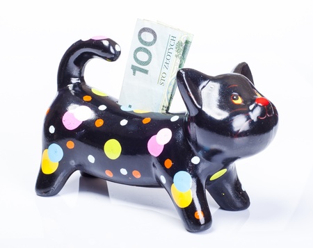 An image of Money box with polish zloty banknoteの写真素材