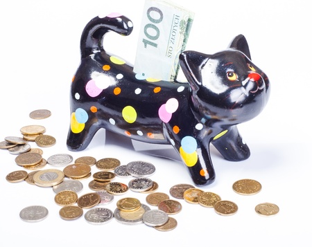 An image of Money box with polish zloty banknoteの写真素材