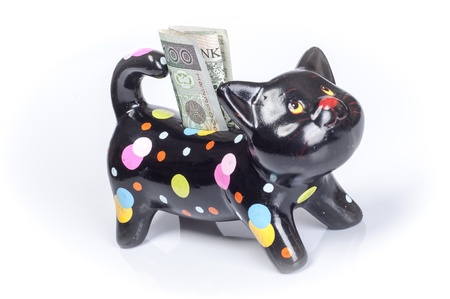 an image of piggybank with polish banknoteの写真素材