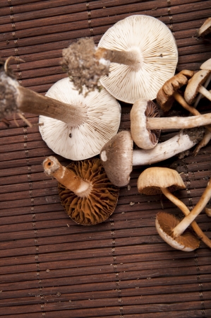 An image of toxic mushroomsの写真素材