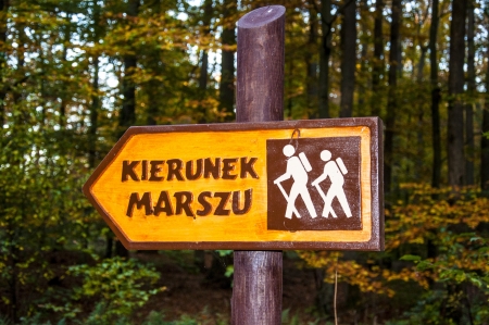 An image of sign in the forestの写真素材