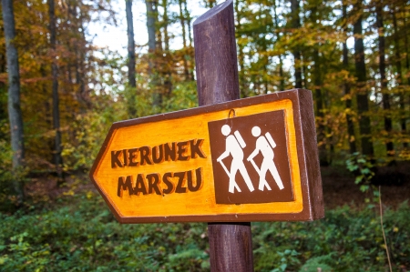 An image of sign in the forestの写真素材