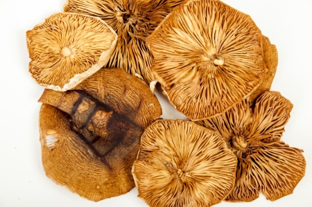 An image of dry mushrooms の写真素材