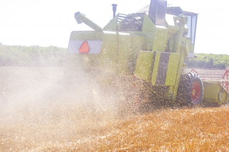 An image of combine harvesting cornの写真素材