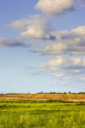 An image of landscape during springの写真素材