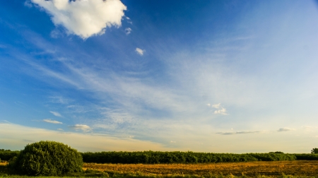 An image of landscape during springの写真素材