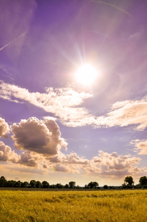 An image of landscape during springの写真素材