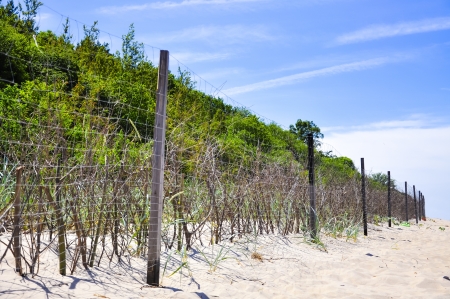 An image of sand duneの写真素材