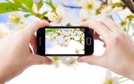 An image of shooting photographs with mobile phoneの写真素材
