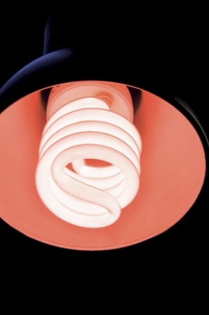 An image of light buln on black backgroundの写真素材