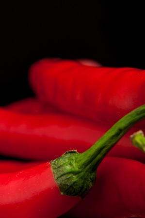 An image of red chilli pepper isolatedの写真素材