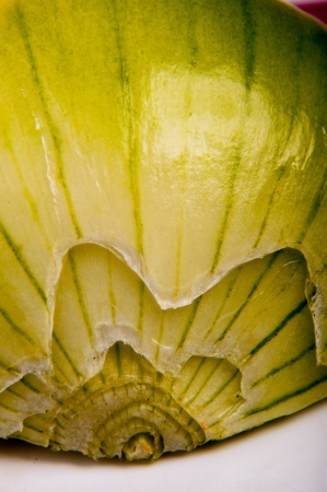 An image of close up onion isolatedの写真素材