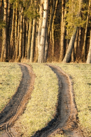 An image of field wayの写真素材