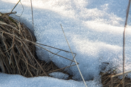 An image of melting snow on the meadowの写真素材