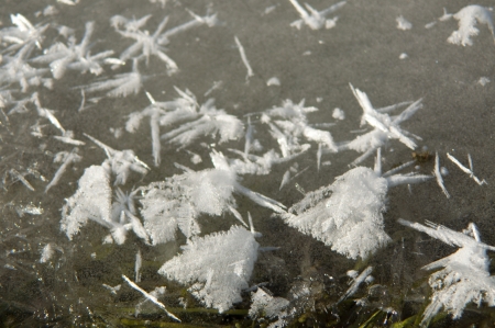 An imgae of frozen grassの写真素材
