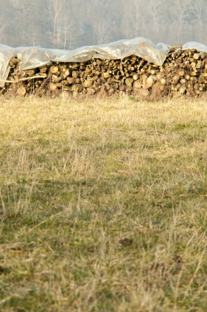 An image of pile of woodの写真素材