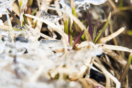 An image of melting snow outdoorの写真素材