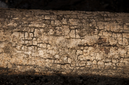 An image of wooden background